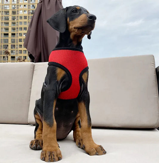 Arnes pechera para mascotas