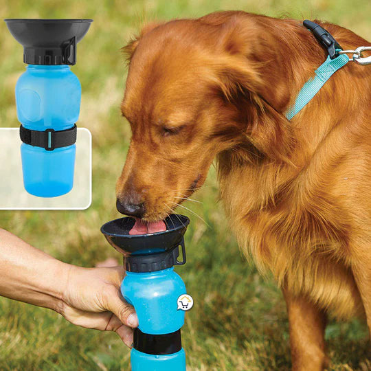 Botilito Bebedero Portátil Agua Para Perros y gatos Aqua Dog Color Azul